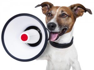 What is my Dog Saying? @ Winnipeg Humane Society | Winnipeg | Manitoba | Canada