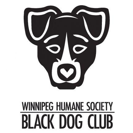 Black Dog Club Walk @ Maple Grove Park | Winnipeg | Manitoba | Canada