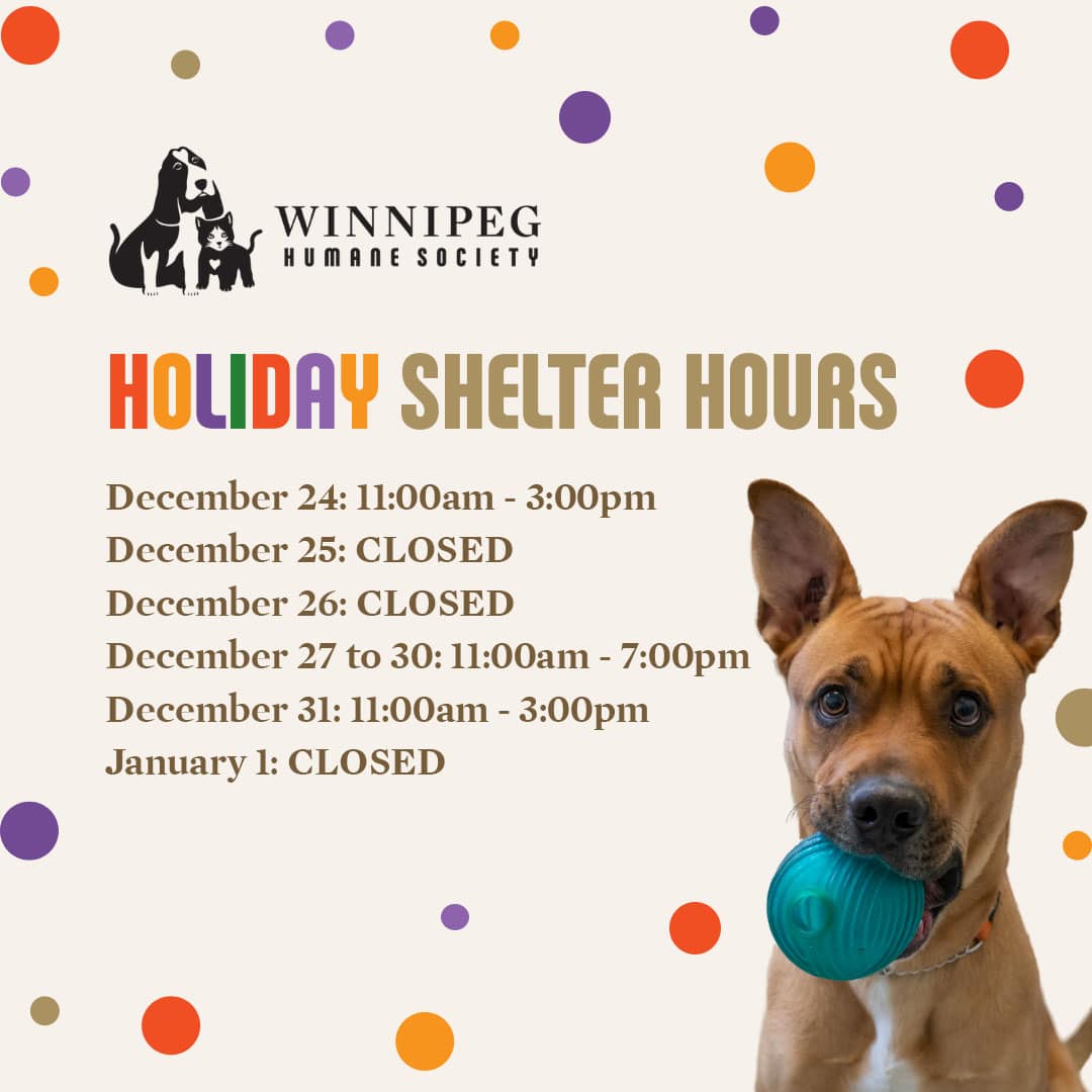 WHS 20 Holiday Closure   Winnipeg Humane Society