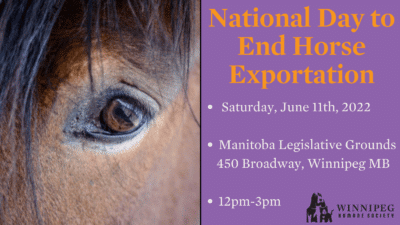 National Day to End Horse Exportation @ Manitoba Legislature