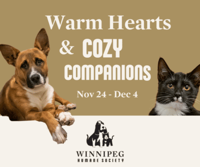Warm Hearts & Cozy Companions Adoption Promotion @ Winnipeg Humane Society