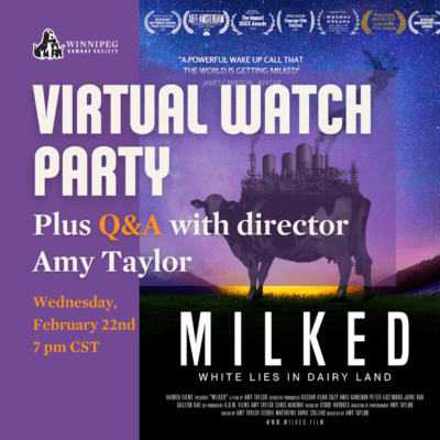 The Winnipeg Humane Society Presents: "MILKED" Virtual Watch Party @ Virtual Event