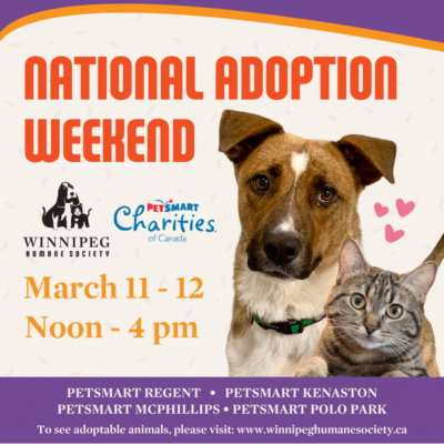 PetSmart National Adoption Weekend @ PetSmart