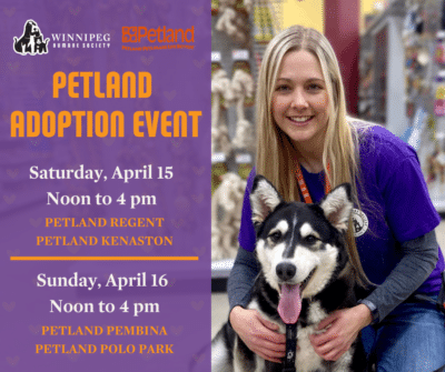 Petland Adoption Event