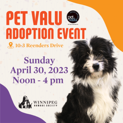 Pet Valu Adoption Event
