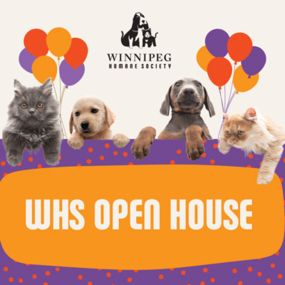 WHS Open House @ Winnipeg Humane Society