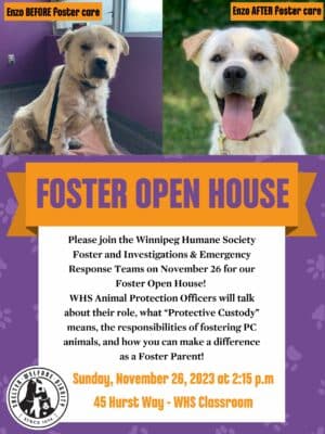 Foster Open House - Learn about fostering animals in protective custody @ Winnipeg Humane Society - Classroom