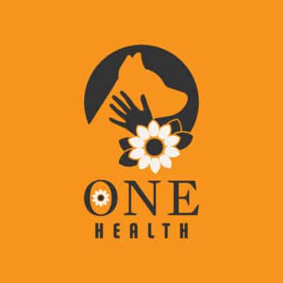 One Health Remote Clinic: Nisichawayasihk Cree Nation