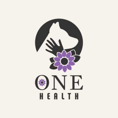 One Health Remote Clinic: God's Lake First Nation