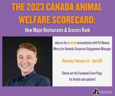 Canada’s Animal Welfare Scorecard