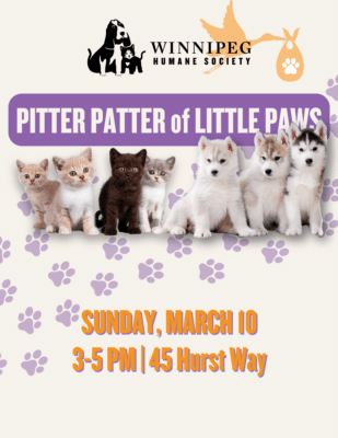 Pitter Patter of Little Paws @ Winnipeg Humane Society - Joyce Gauthier Behaviour and Training Centre
