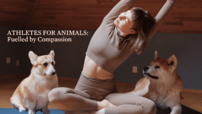 Athletes for Animals: Fuelled by compassion @ The Canadian Museum for Human Rights